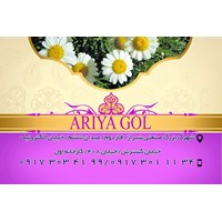 درباره ما