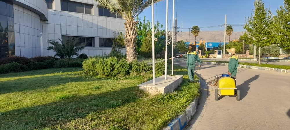 سم پاشی در ختان و کانال های شهرک صنعتی بزرگ شیراز