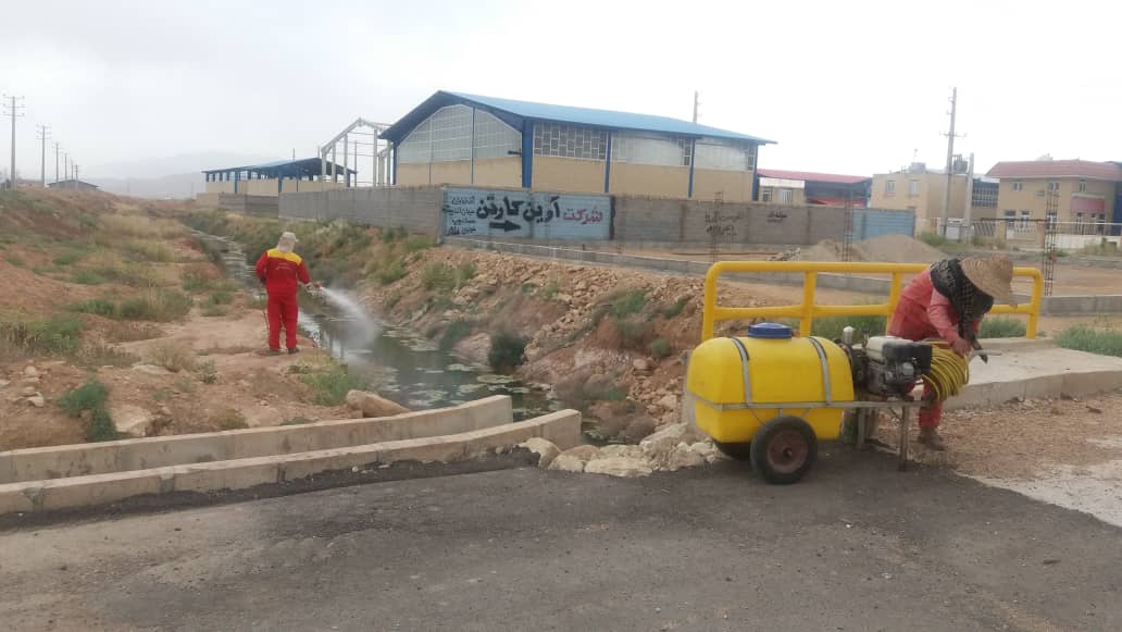 مرحله دوم سم پاشی درختان و کانال ها در شهرک صنعتی بزرگ شیراز