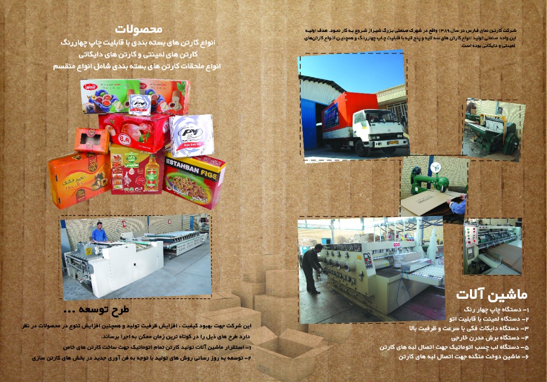 کارتن نما