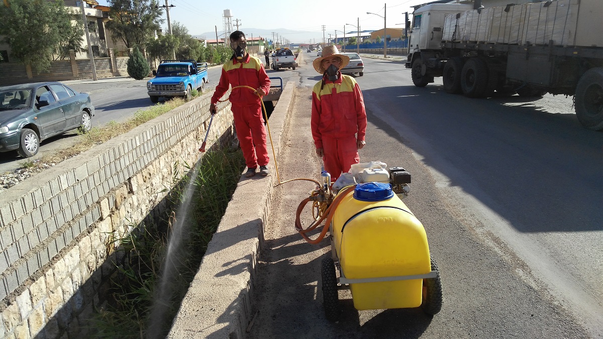 عملیات سم پاشی کانال ،جوی ها و درختان شهرک صنعتی بزرگ شیراز